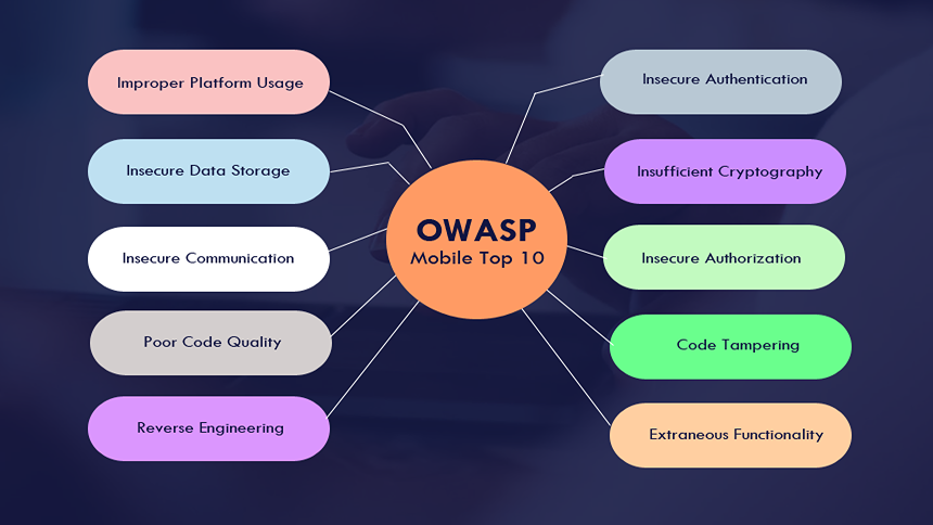 Secure Web Application Development: An OWASP Approach